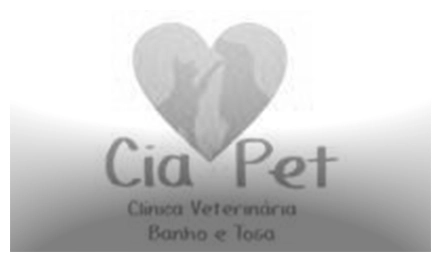 EMPRESA 12
